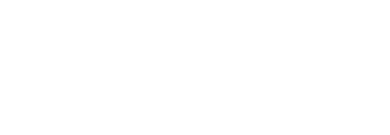 Orbit X